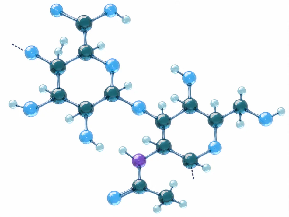 Hyaluronic acid molecule